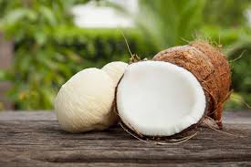 Kreasi Olahan Kelapa: Dari Hidangan Tradisional hingga Sajian Modern